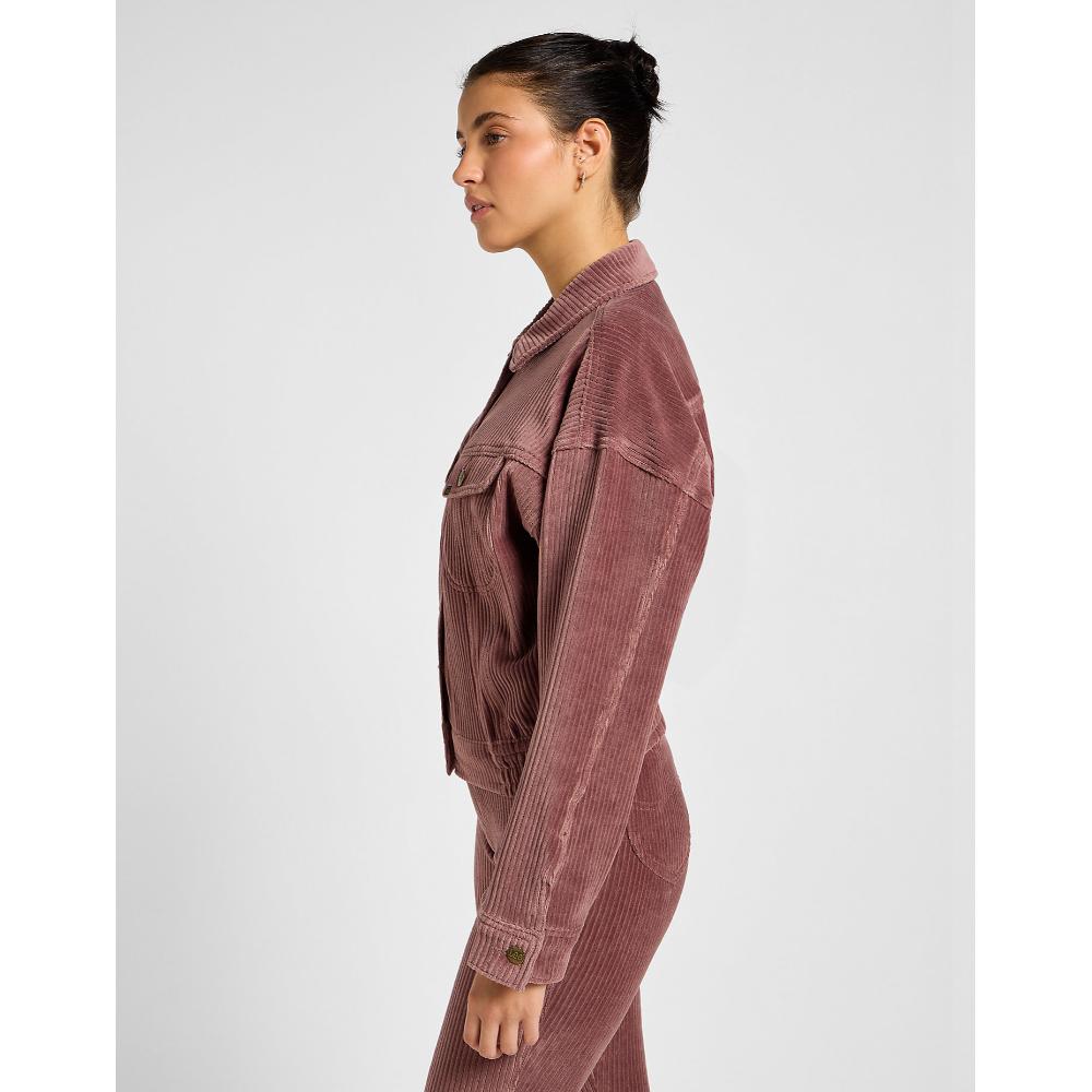 Lee Batwing Rider Jacket In Dreamy Mauve Rosa