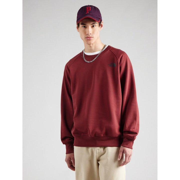 The North Face Raglan Box NSE Crew Sumac Asphalt Grey Uomo