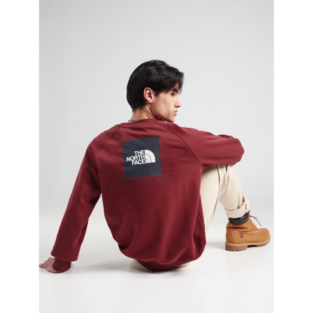 The North Face Raglan Box NSE Crew Sumac Asphalt Grey Uomo