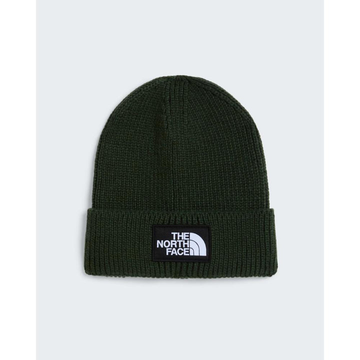 The North Face Berretto Con Risvolto Logo Box Bottle Green