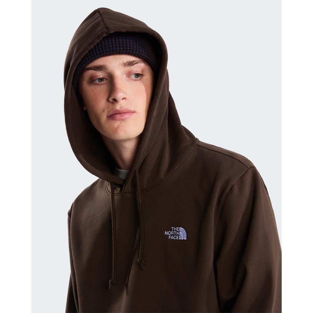 The North Face Felpa con cappuccio Evolution Simple Dome Regular da uomo Brown