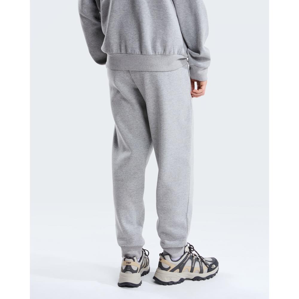 The North Face Joggers Evolution Simple Dome Regular Grey Heather Uomo